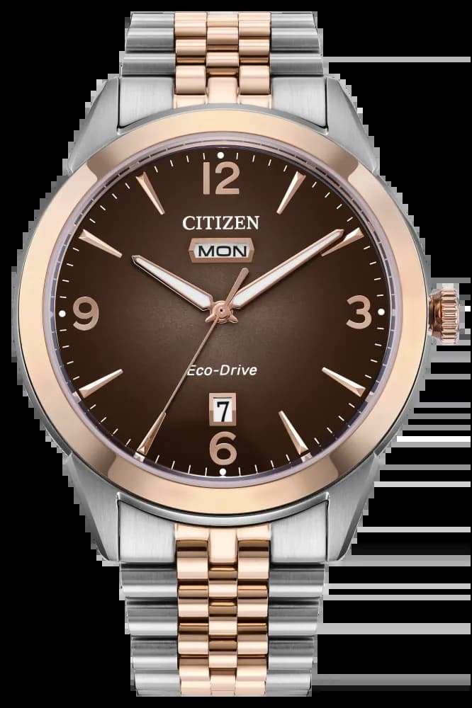 Citizen Eco-Drive Clásico
